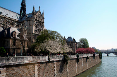 Side view of Notre Dame Side view of Notre Dame