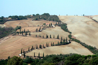 A road slowly winds its way up a Tuscan hill