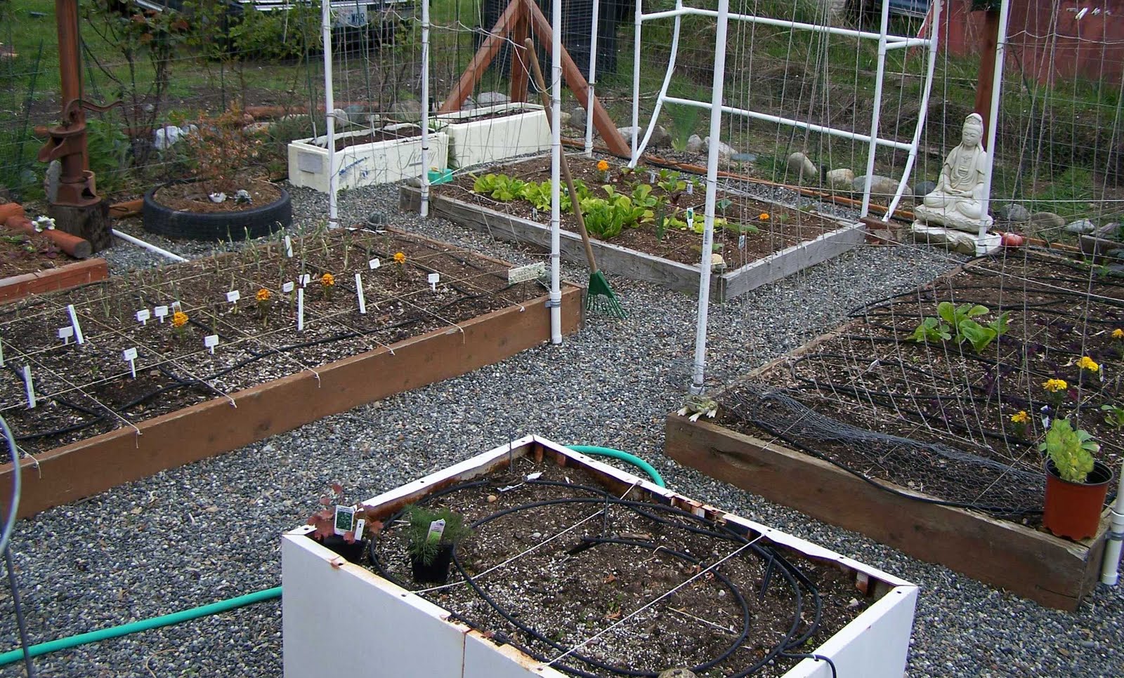 KeeWee's Garden My fenced deer proof vegetable garden