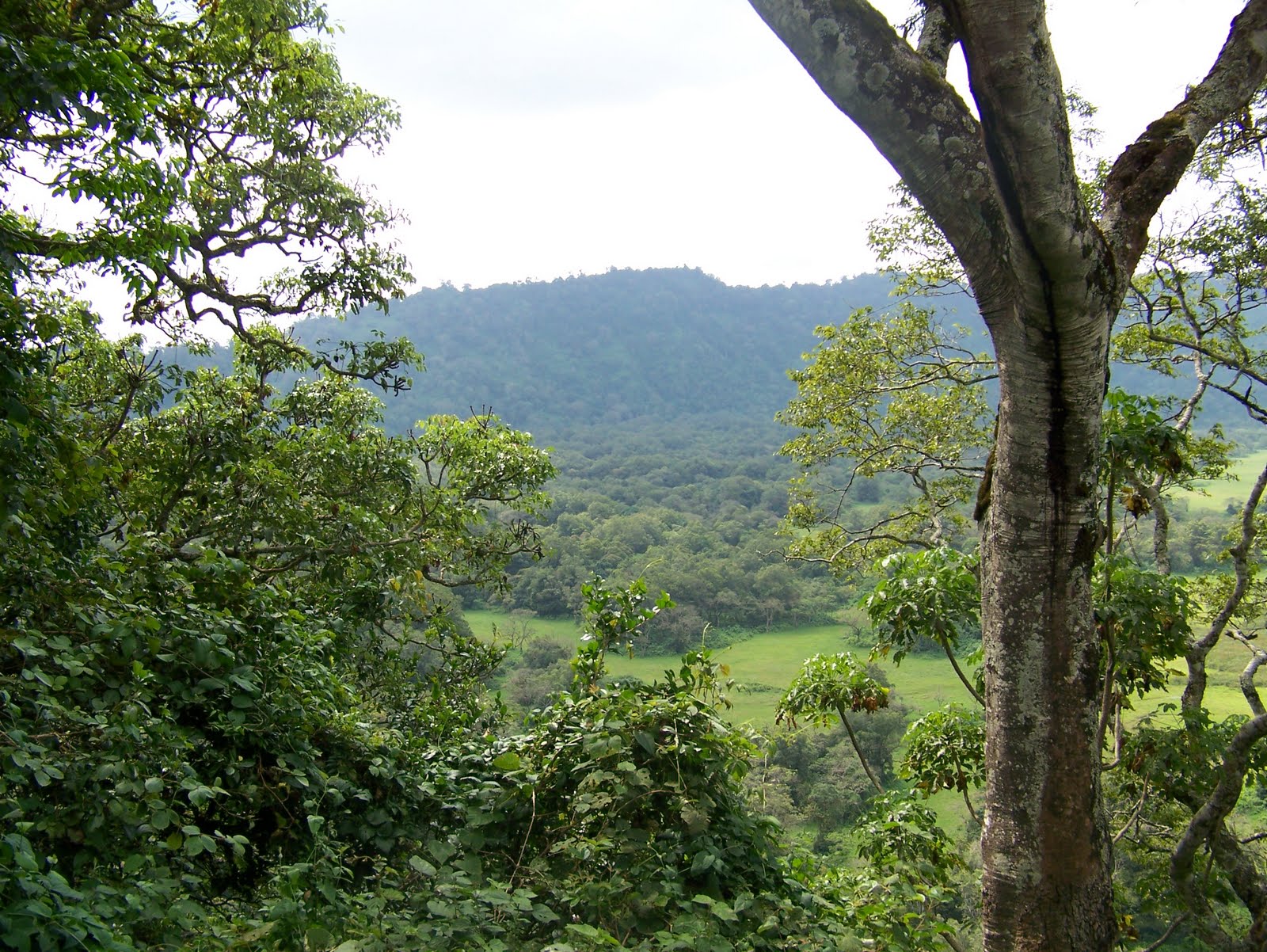 TEMBEA Tanzania Ngurdoto crater (Rhino point) Arusha NP