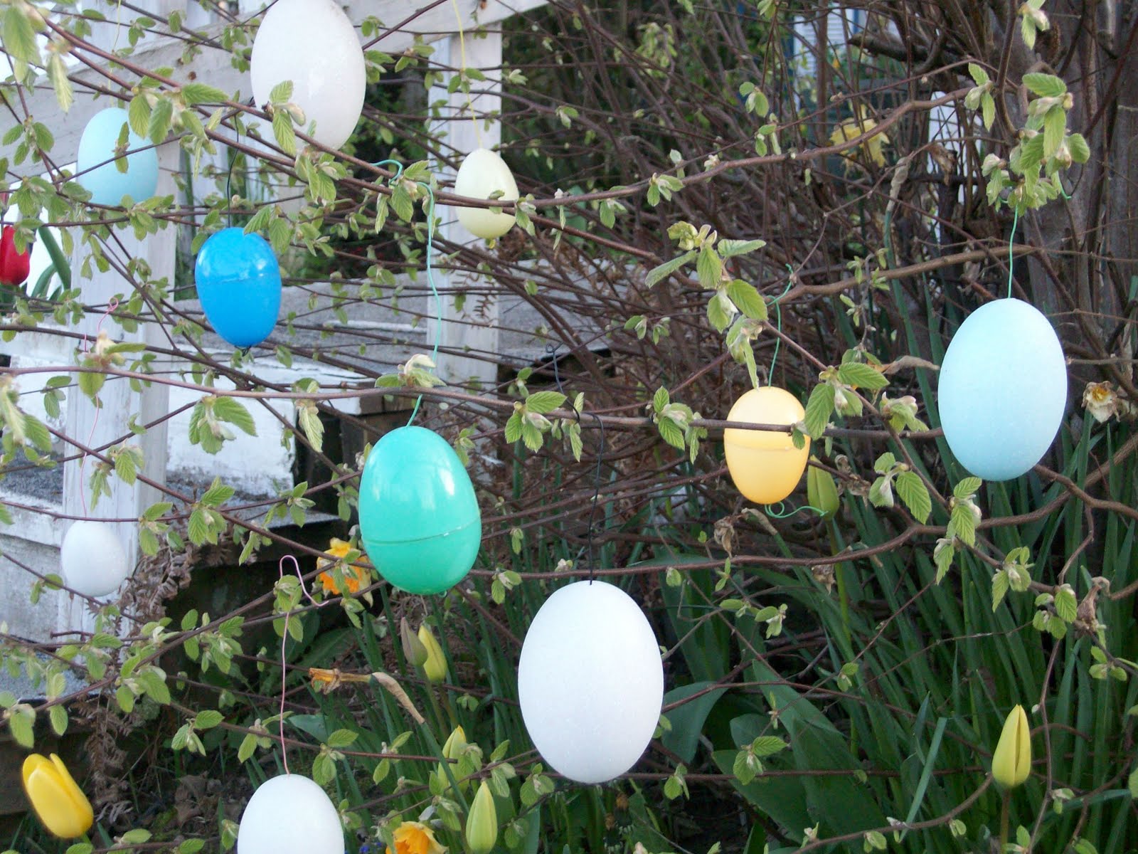 Artgirl Island* Eggs grow on trees?