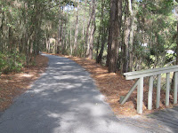shaded bike path