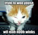 wink