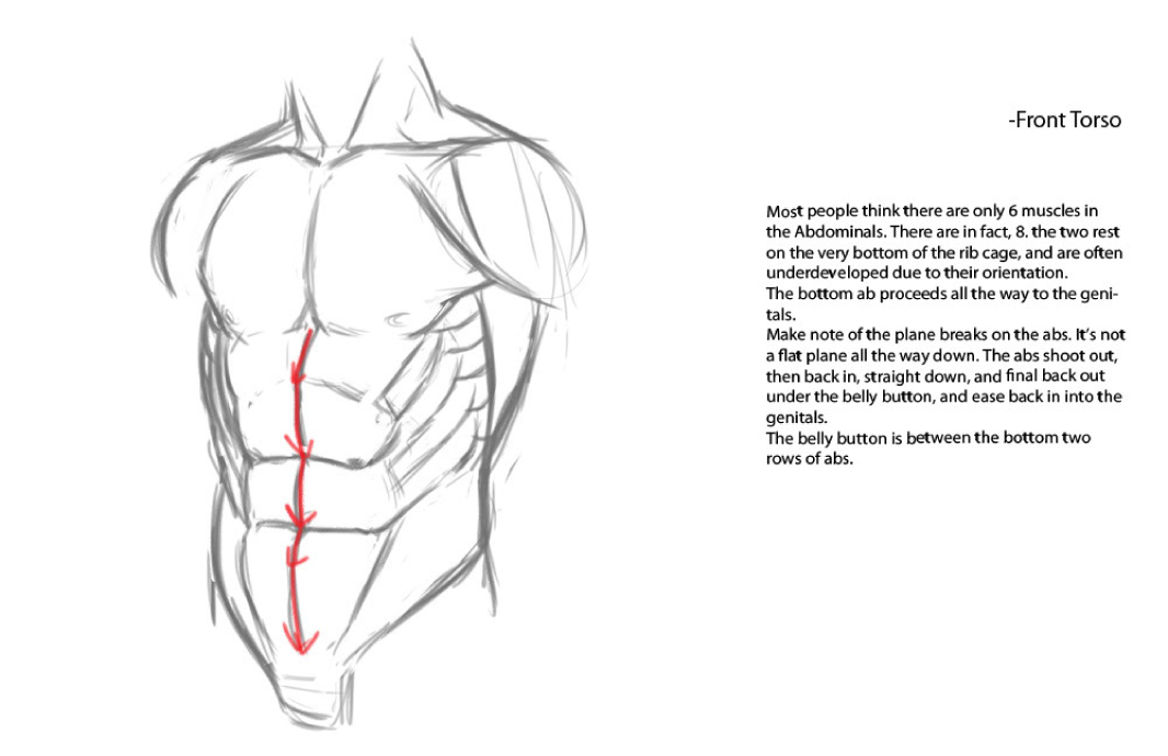 Design Lessons: anatomy