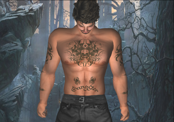 [Snapshot_002.png]