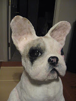 French Bulldog 5/09
