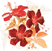 Todas as imagens foram redimensionadas (estão grandes), possibilitando uma . (folhagem)