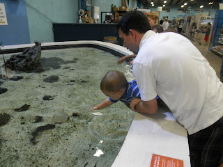 Free, Cheap, or Just Plain Fun: That Fish Place/ That Pet Place