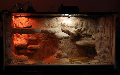 awesome bearded dragon cages Exo Terra Chameleon Terrarium.jpg
