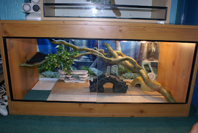 awesome bearded dragon cages Exo Terra Allglass Terrarium.jpg