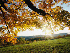 Autumn in New York
