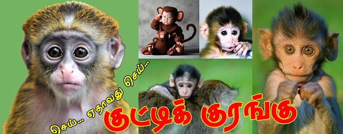 குட்டிக் குரங்கு