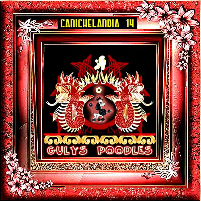 CANICHES GULYS - CANICHELANDIA - 14 -