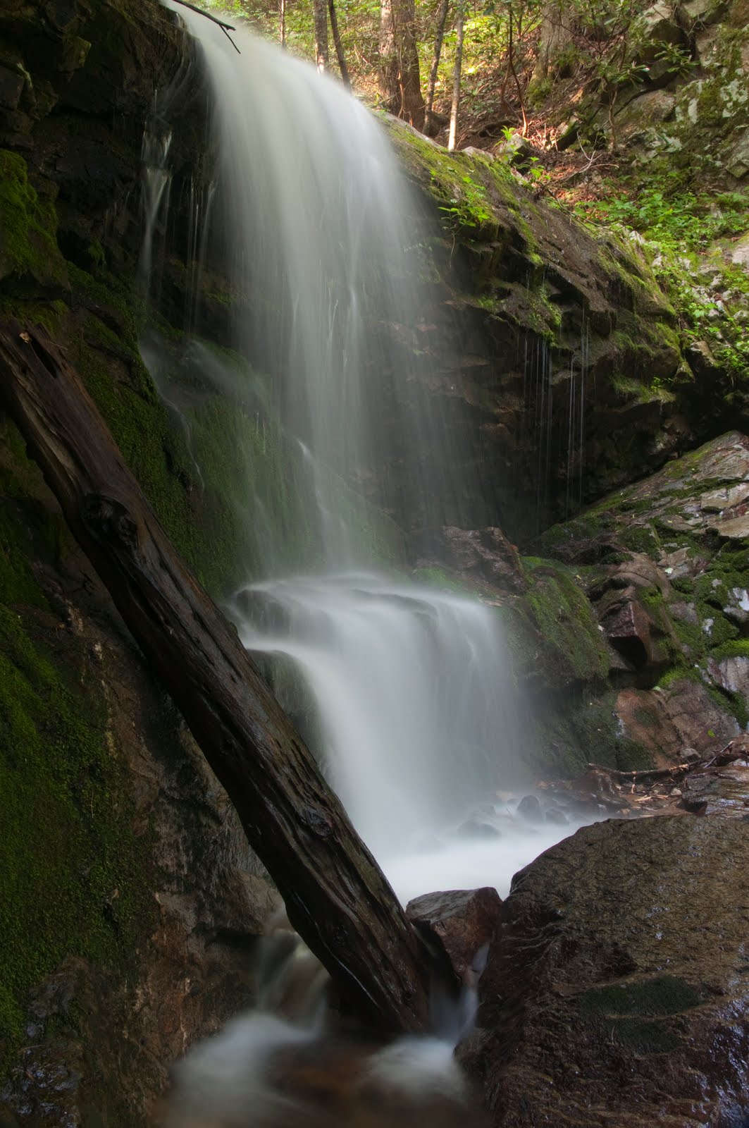 Walking On Empty Pine Ridge Falls