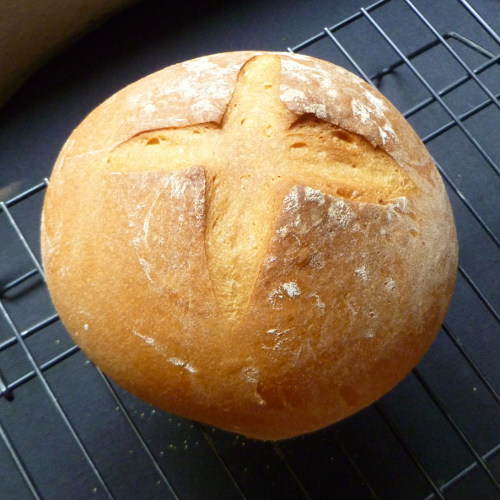 Cookistry Water Rising for Bread Dough