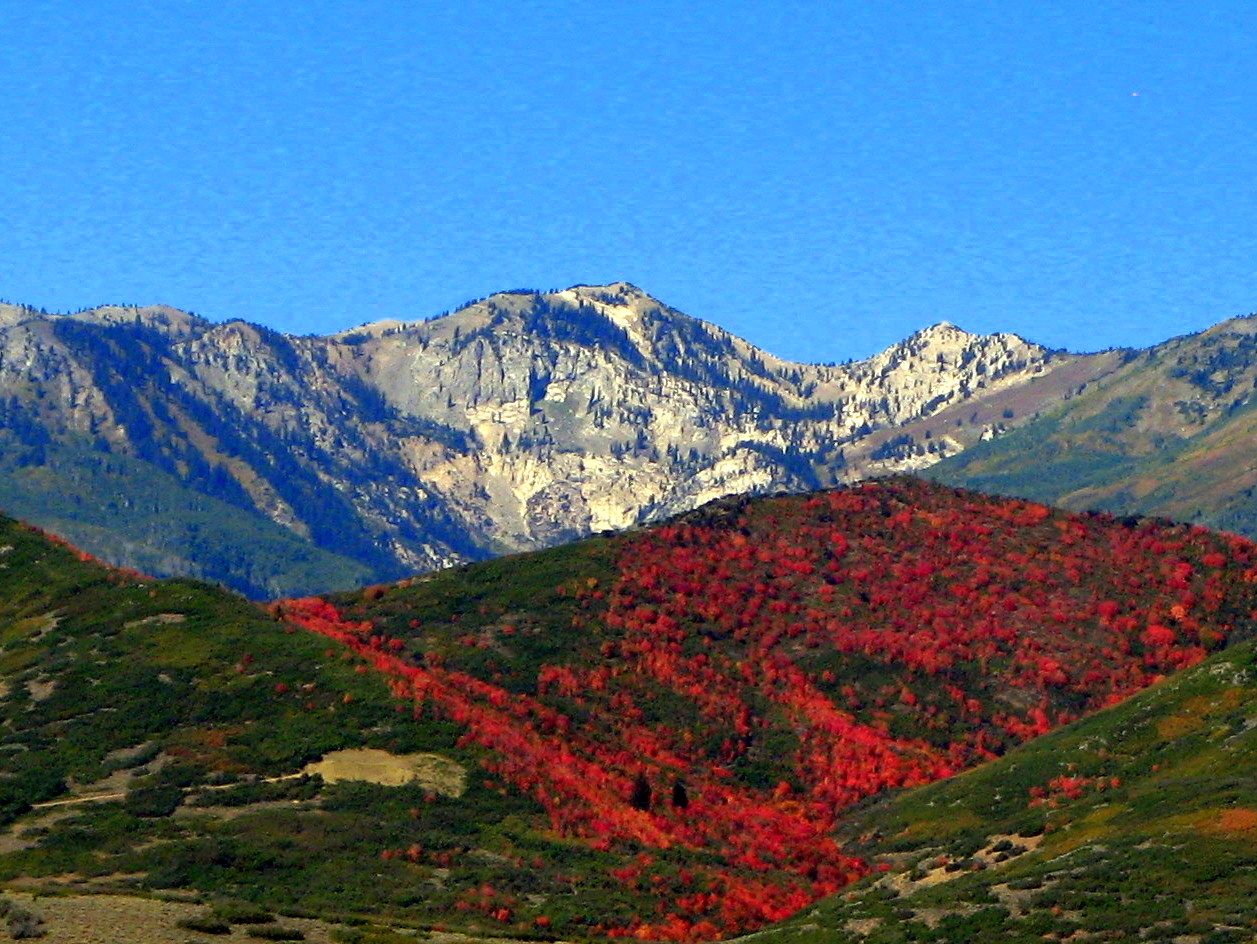 The Summit Reno >> Mary's Ramblin's: SCENIC BYWAY, VERNAL,UTAH TO WEDNOVER, NEVADA The Summit Reno >> Mary's Ramblin's: SCENIC BYWAY, VERNAL,UTAH TO WEDNOVER, NEVADA