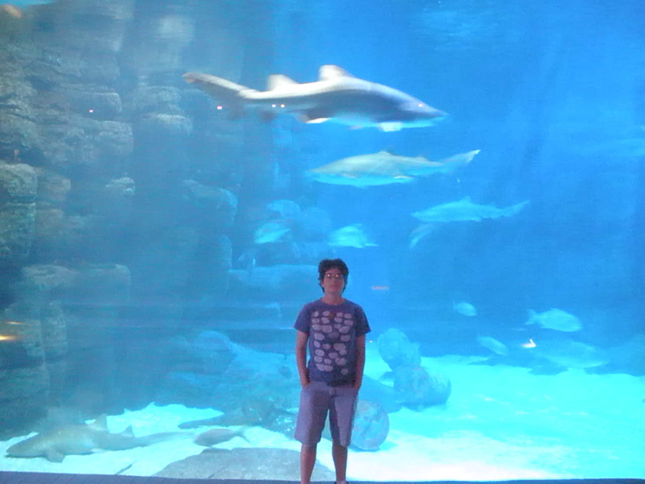 Merle's Whirls VIRGINIA BEACH AQUARIUM