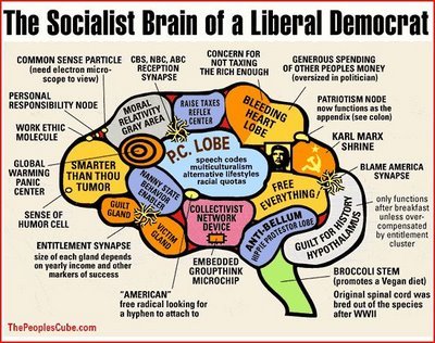 [liberal-democrat-brain.jpg]