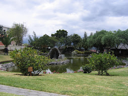 The pond at Sean´s school