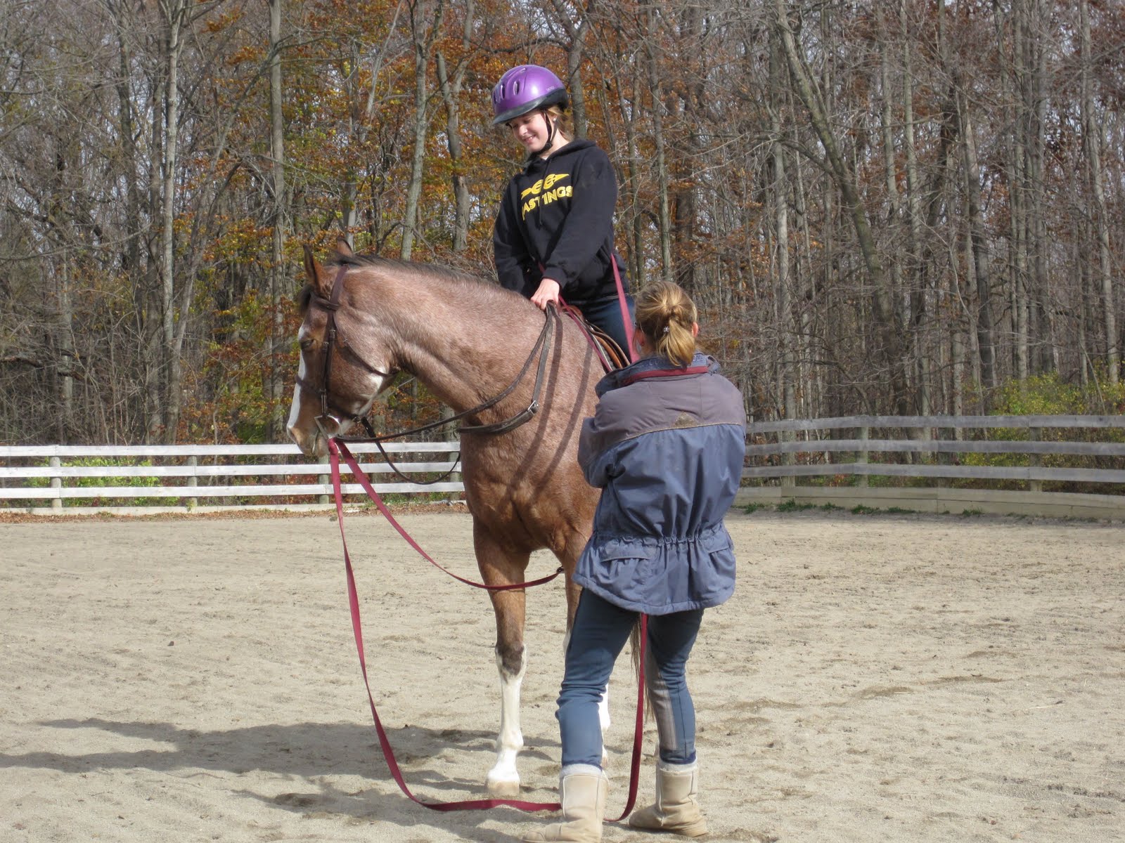 Diary of the Overanxious Horse Owner Dressage is HARD!