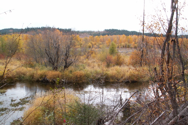 [TroutLakeColors068.JPG]