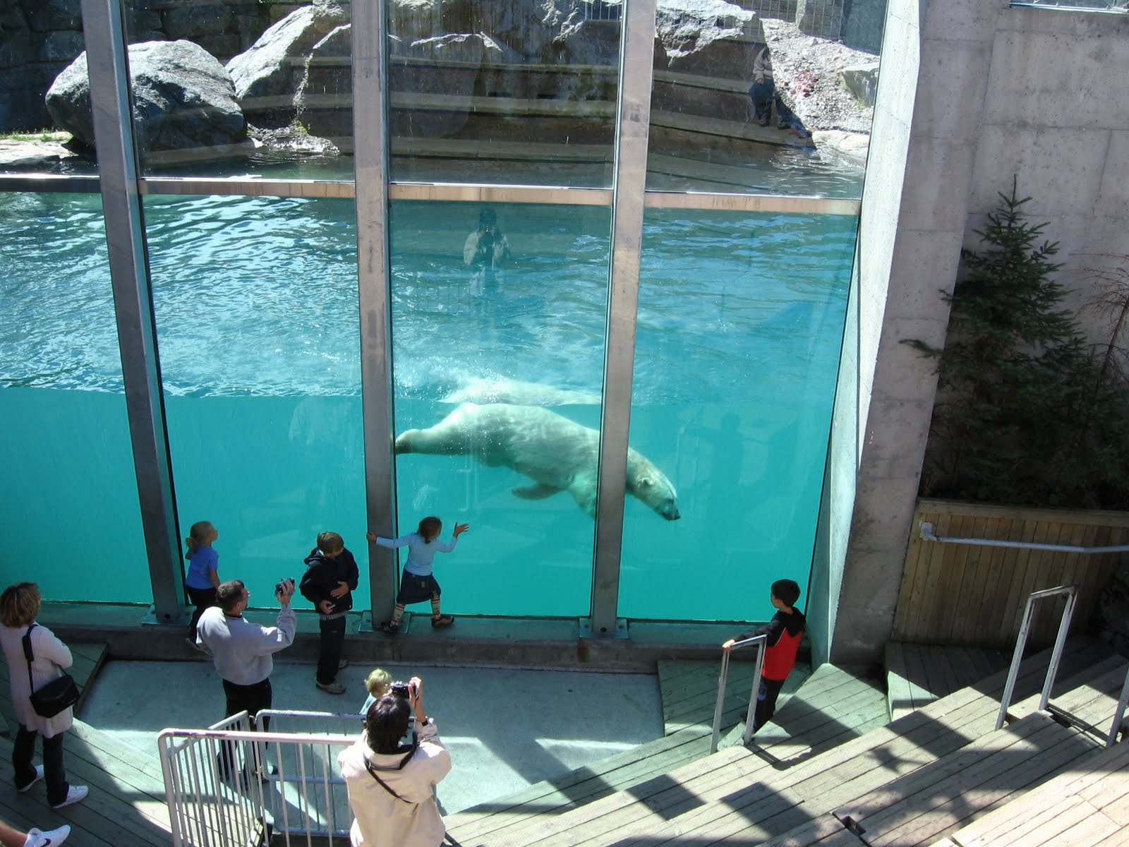 TURISMO IN CANADA ZOO SAUVAGE DE ST. FELICIEN