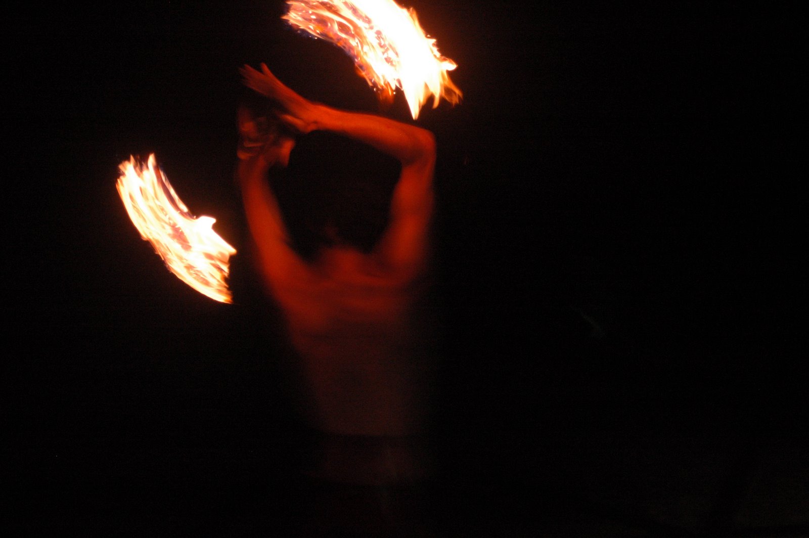 [DSC_0146.JPG]