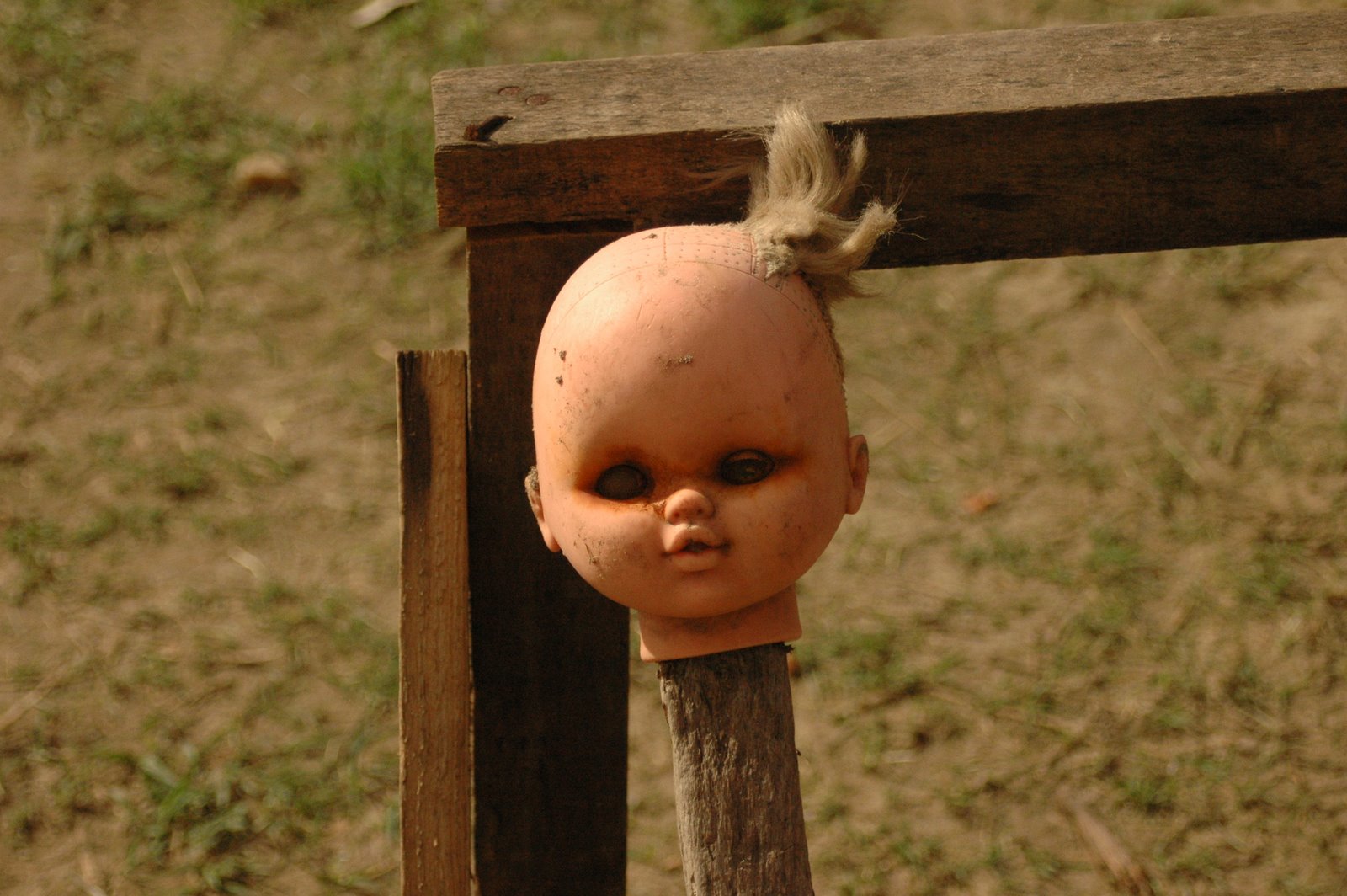 [DSC_7533.JPG]
