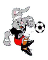 Berni Euro 1988 mascot Berni Euro 1988 mascot