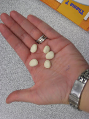 Mrs. Armstrong's Blog: The Great Lima Bean Experiment