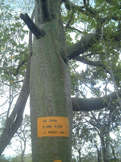 Notas varias!: RESERVA ECOLÓGICA MILITAR ARENILLAS