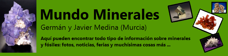 Mundo Minerales