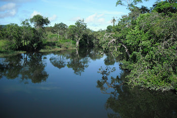 Rio Tartarugalzinho
