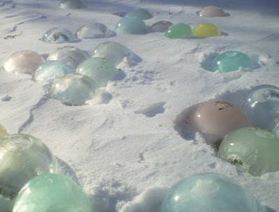 plants are the strangest people lawn ornaments frozen water balloons