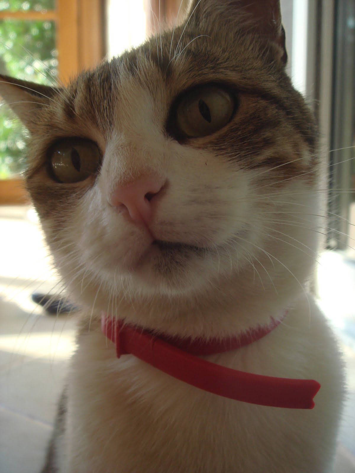 kızlarım&hellip; SOKAK KIZI TAGADDİ