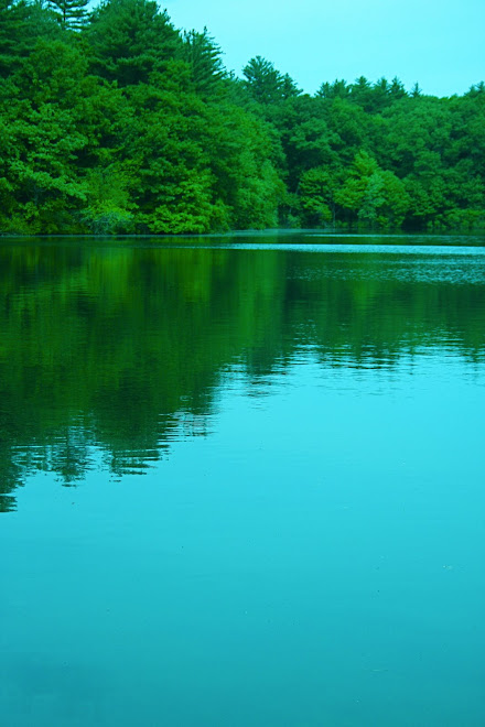 Walden Pond Serenity