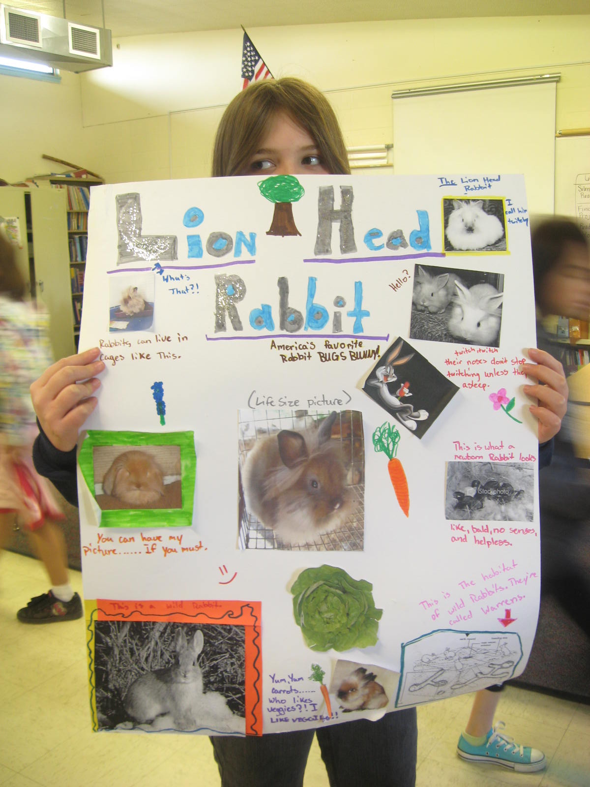 40 Students,1 Teacher, 100 Days of Writing: Animal Projects by the