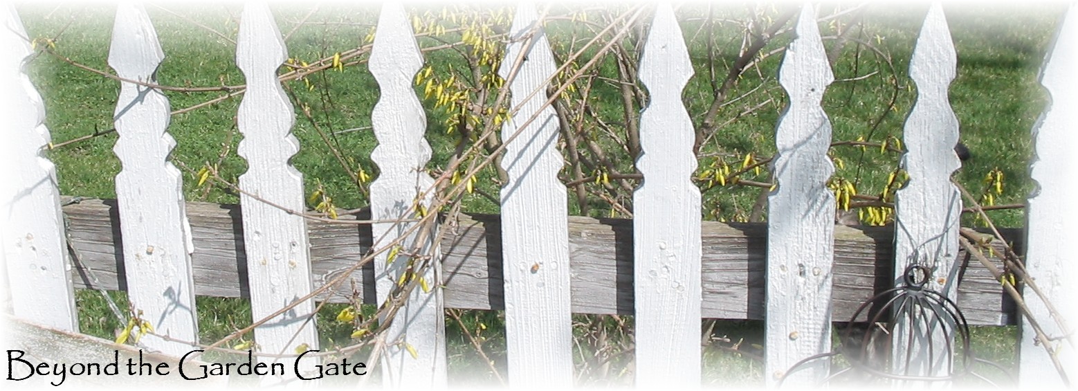Tete's Beyond the Garden Gate: spring is here...