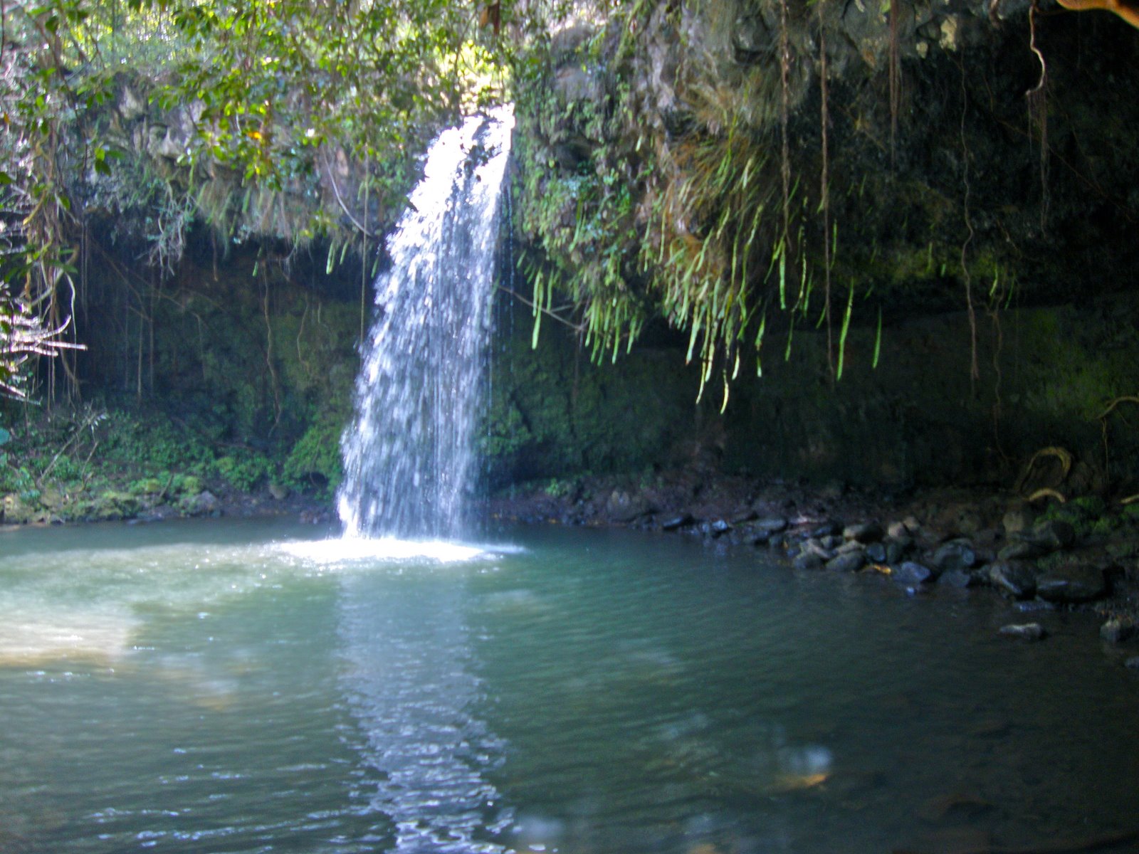 [DSC01243.JPG]