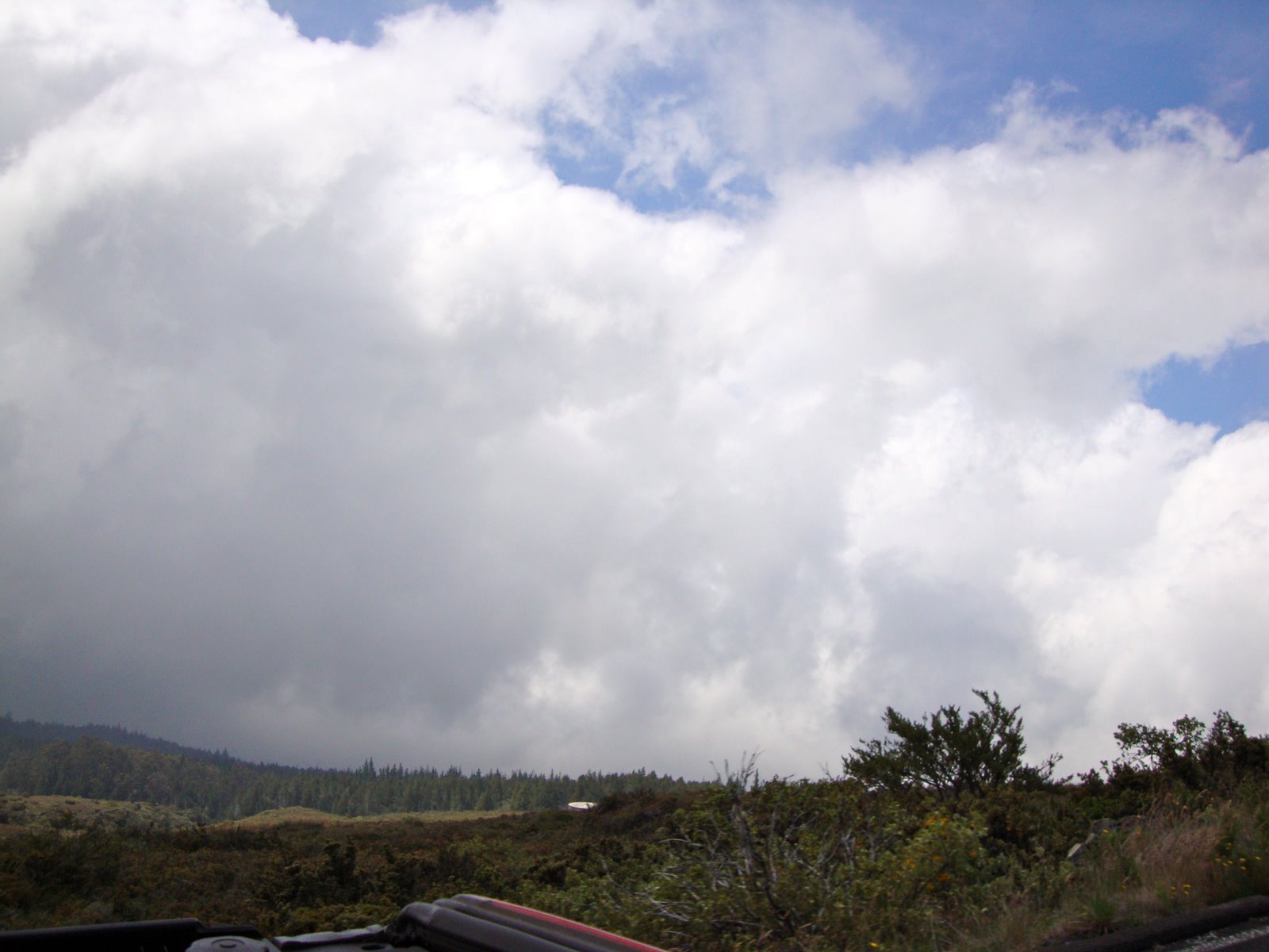 [DSC01519.JPG]