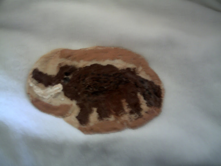 Chloe's wolly mammouth cave painting.