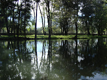 Laguna Parque Isabel Riquelme