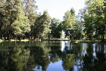 Laguna Parque Isabel Riquelme
