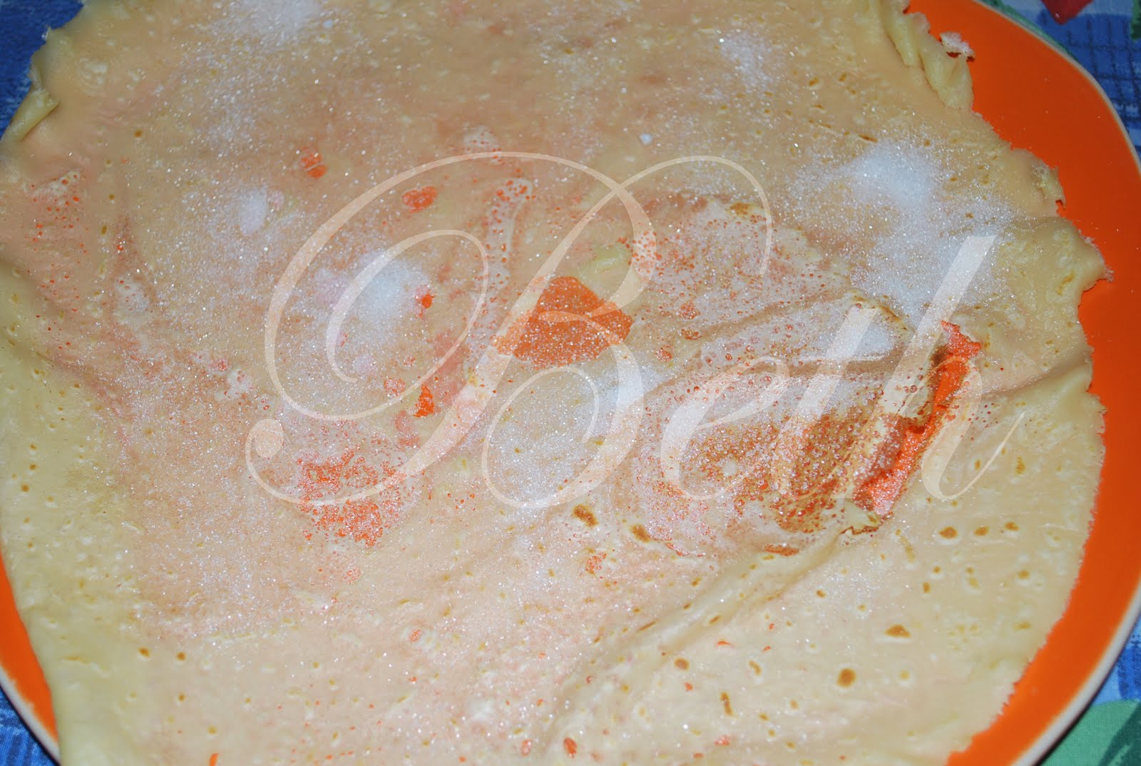 [Photo+019+copie.jpg]