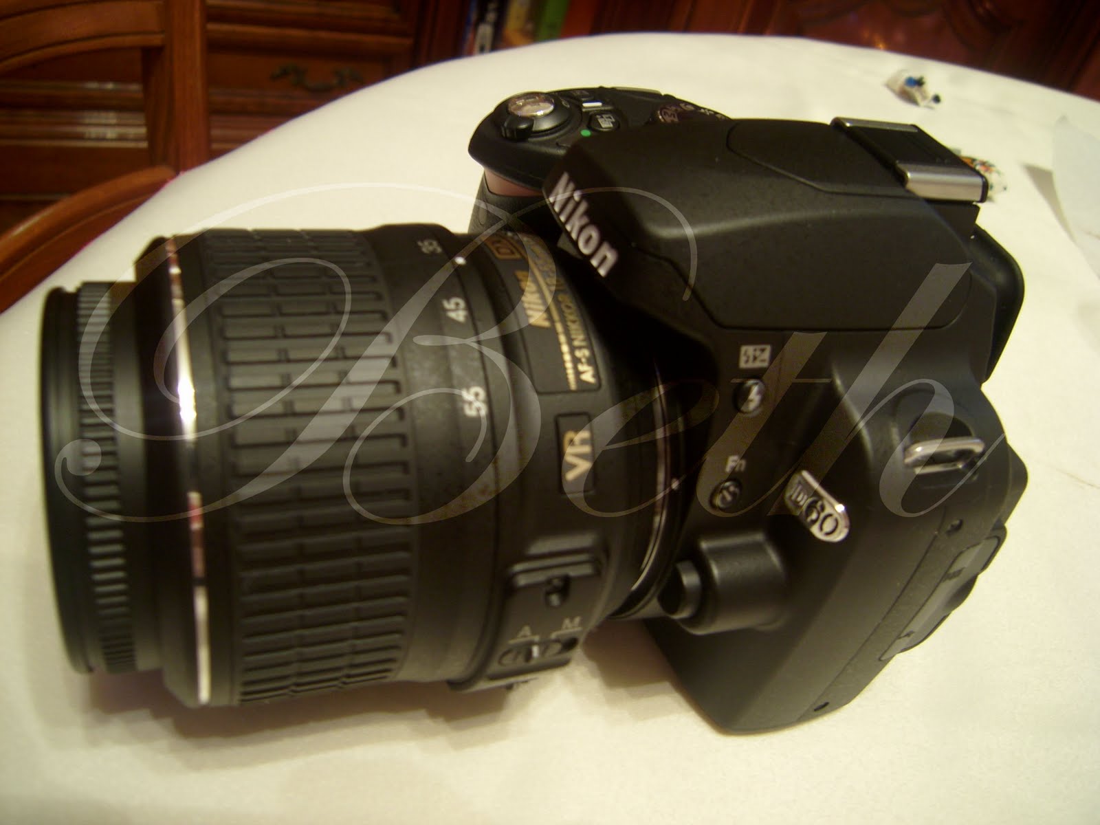 [Photo+106+copie.jpg]