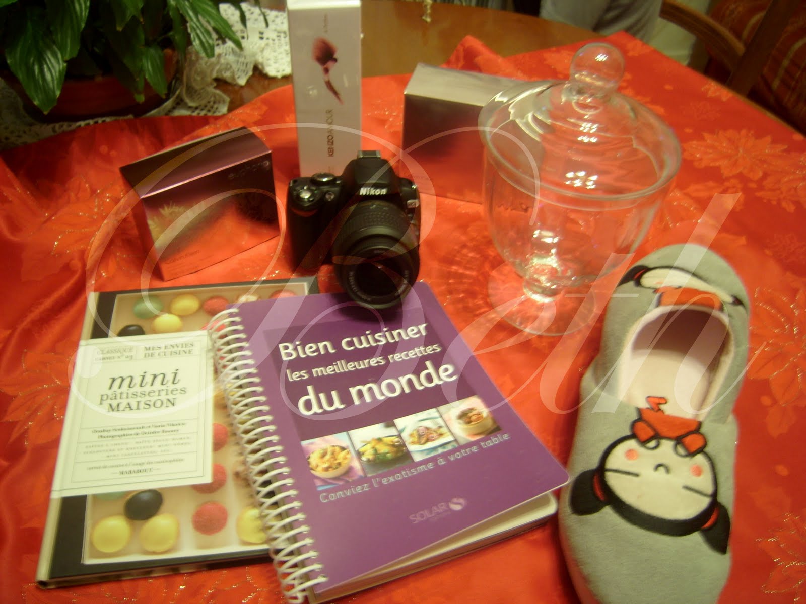 [Photo+124+copie.jpg]
