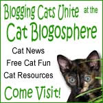 Blogging Cats Unite!