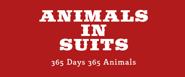 Animals in Suits