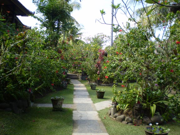 [walkwayto_my_bungalow.JPG]