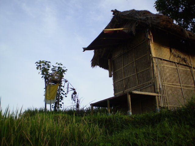 [P5240037.JPG]